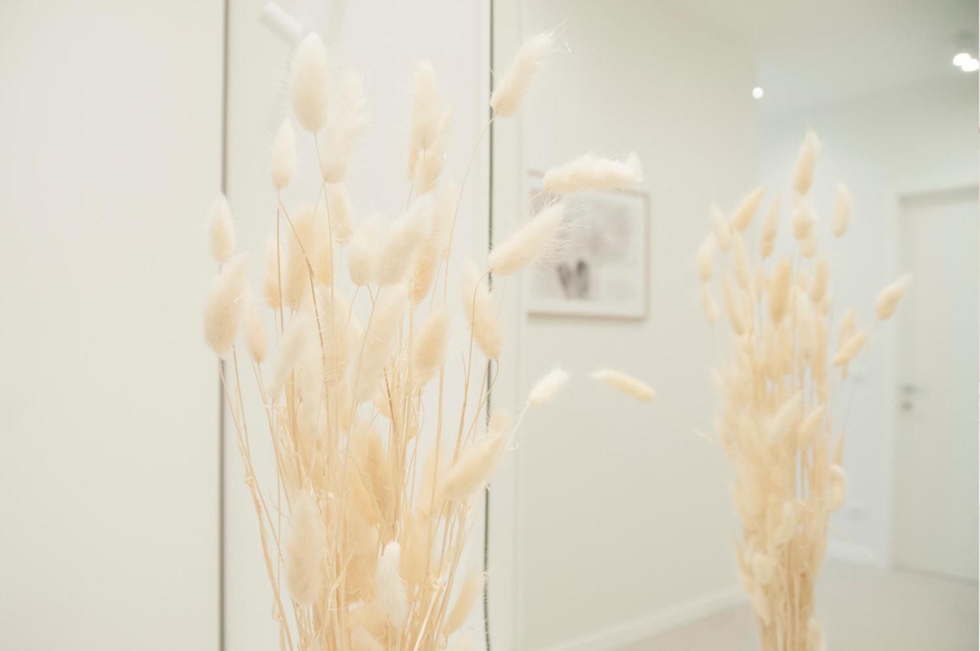 Brezza - Saffi Design Apartments - Ambrogiohost ボローニャ エクステリア 写真